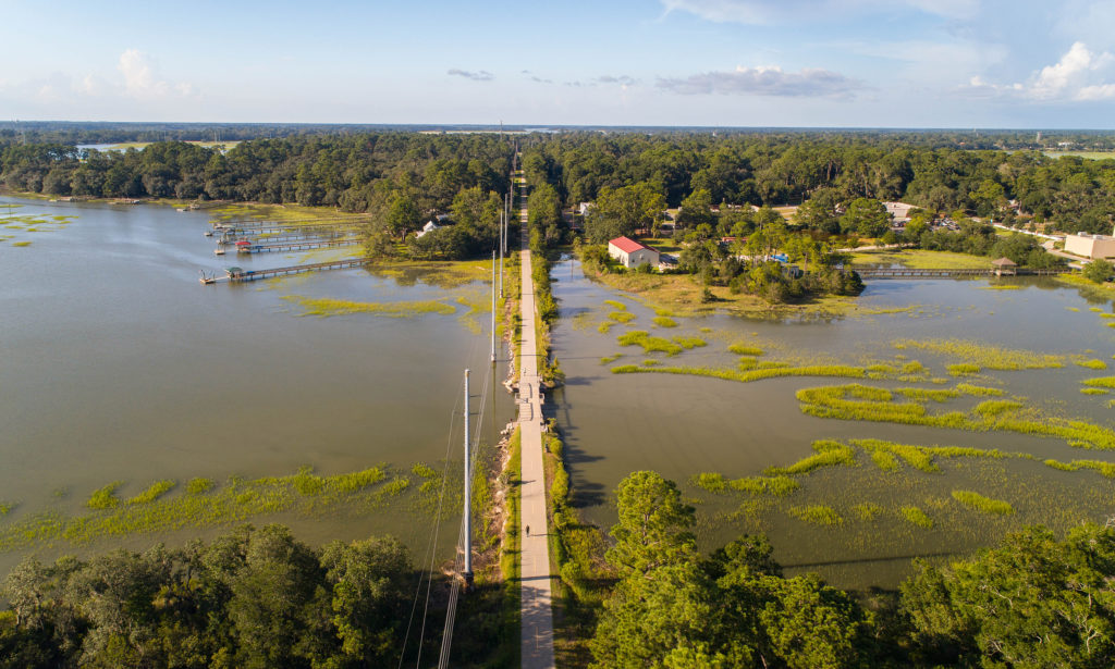 Eleven facts you need to know about Spanish Moss - Explore Beaufort SC